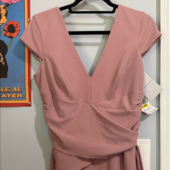 Dress the Population “Dana” Shirred Waist Dress in Light Mauve Size Medium NWT - Picture 14 of 16